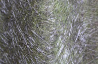 Walsworth fibreglass roof work